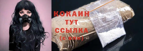 соль ск Медвежьегорск