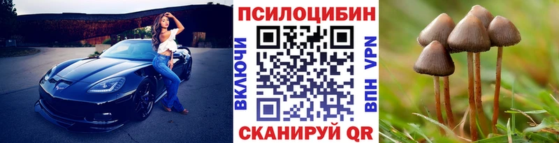 мега ONION  Павловск  Псилоцибиновые грибы MAGIC MUSHROOMS 